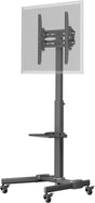 Goobay TV Presentation Stand Basic (Size L), televizoriaus laikiklis