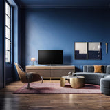 LOEWE bild v.65 dr+ OLED 4K 65", televizorius